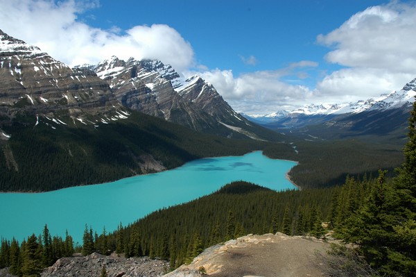Peyto Lake